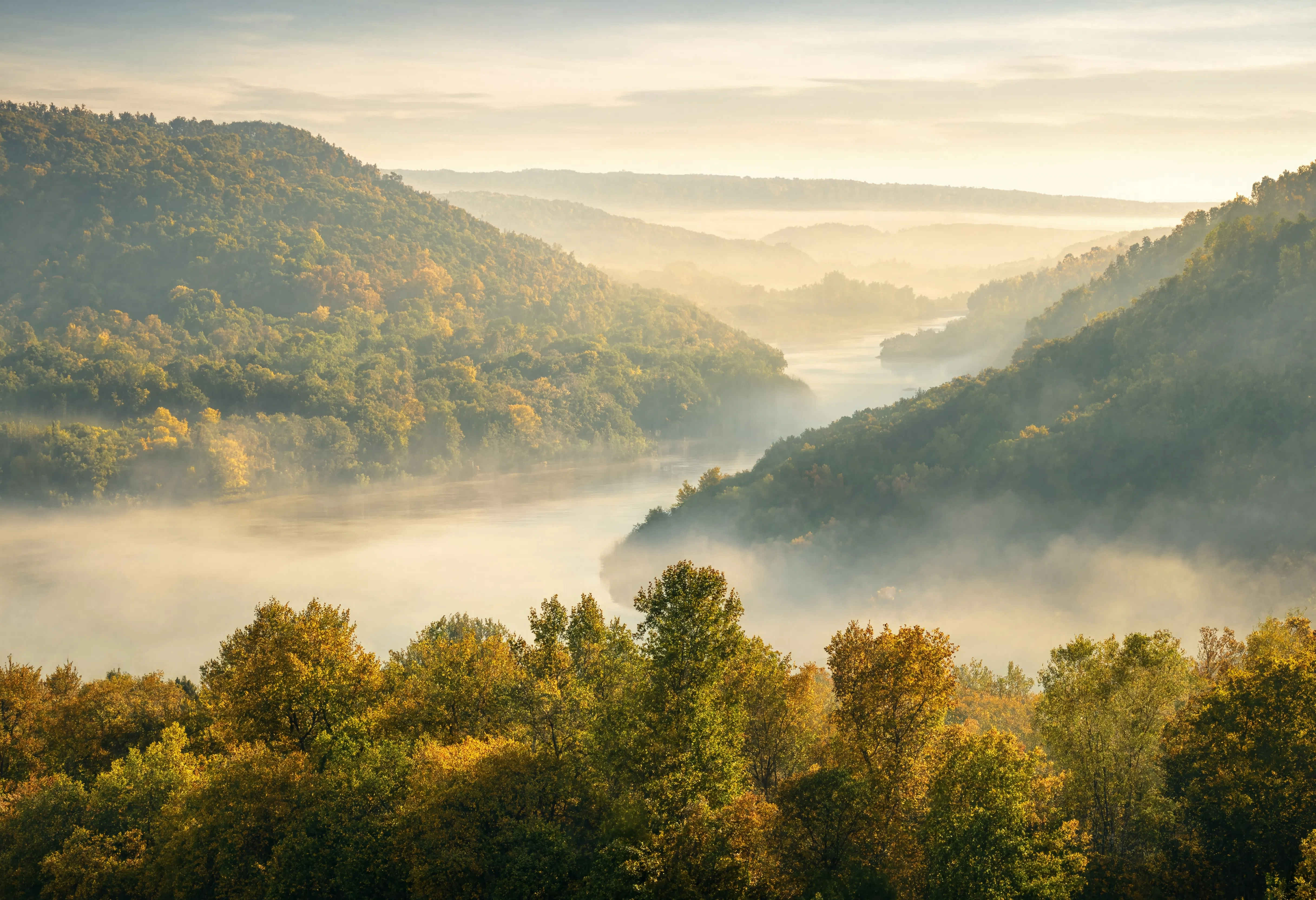 Morgennebel über einem deutschen Tal – grüne Hügel im Morgenlicht